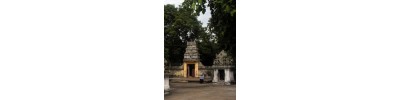 திருவாமூர்